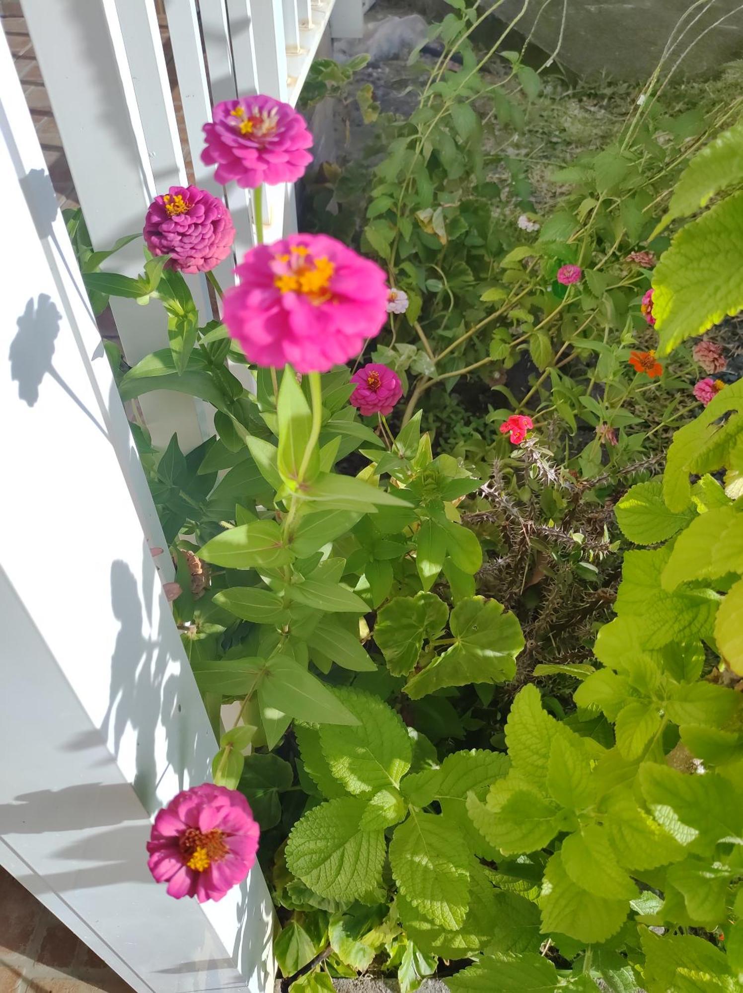 Вилла Location Hibiscus Пуэнт-Нуар Экстерьер фото